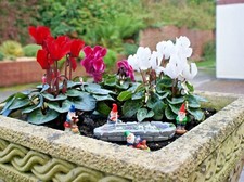 MINIATURE GARDEN GNOMES FOR FAIRY GARDENS CHOICE OF TWO SETS - NEW