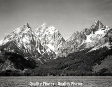 Grassy Valley Tree Covered Mountains 8.5x11" Photo Print Ansel Adams Grand Teton