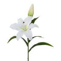 Artplants Kunstblume Lilie Xerna, Weiß, 50Cm