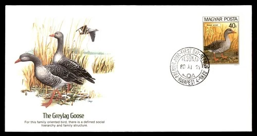 Mayfairstamps Hungary FDC 1980 Greylag Goose First Day Cover aaw_38189