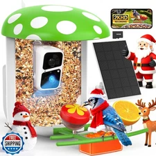 PeckCam Smart Bird Feeder with Camera 2K Live Real-Time Alert AI 