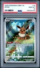 PSA 10 Pokemon Eevee Gem Pokemon Vol. 2 cbb2C Chinese Holo 01 15/15 Gem Mint