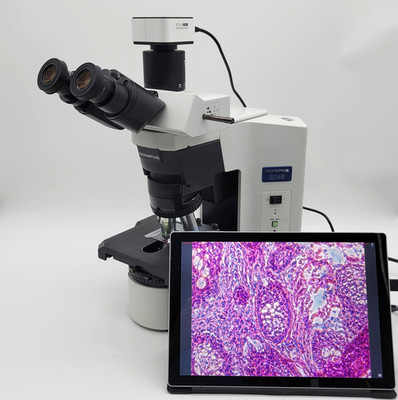 Olympus Microscope BX45 with Phase Contrast, Trinocular Head & Camera