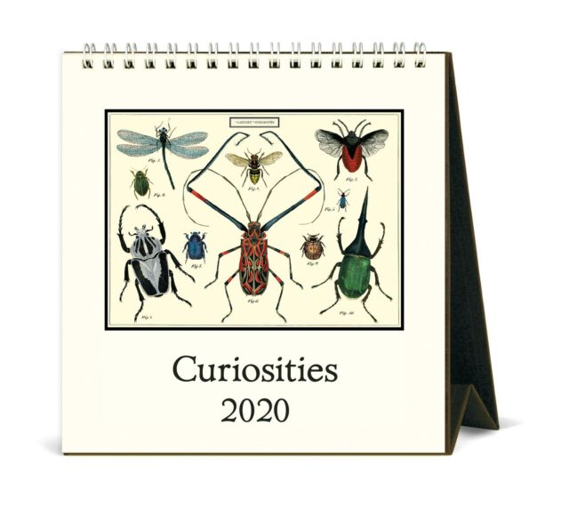 Cavallini Papers and Co.. 2020 Desk Calendar Curiosities Multi for sale