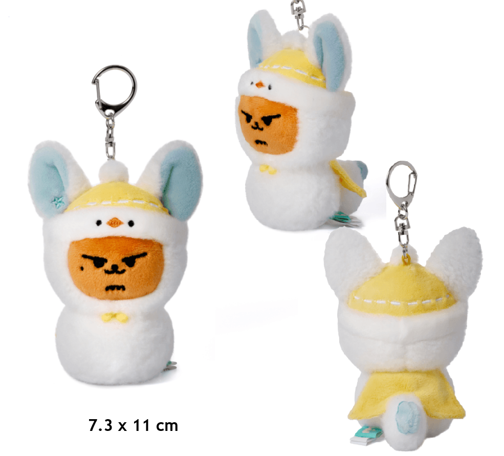 TXT Holiday Gift ボムギュ TXT TOMORROW X TOGETHER PPULBATU BAMGEUT