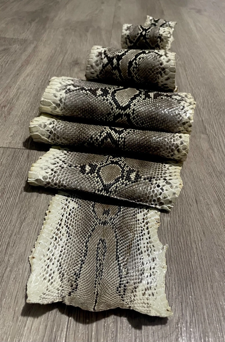 蛇皮装饰皮具隐藏和皮草佩尔茨| eBay