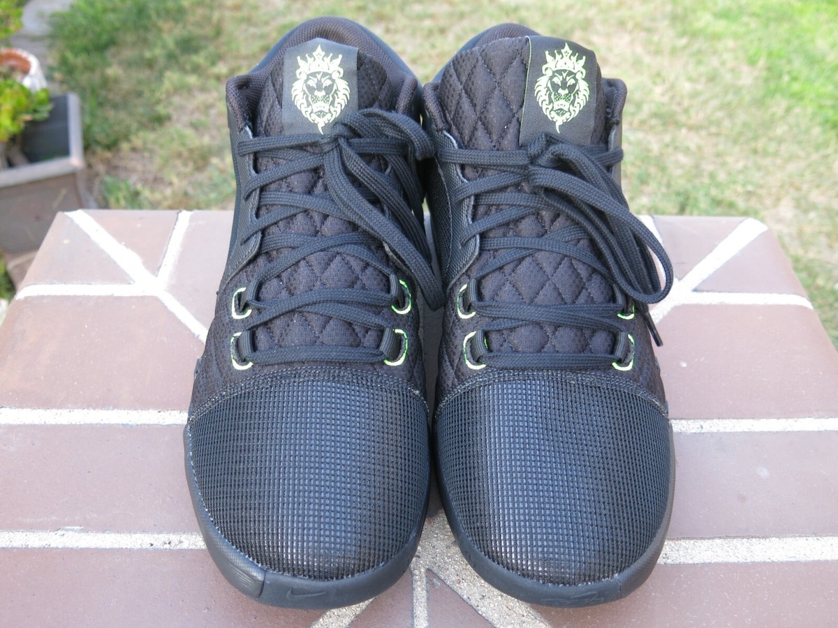 シューズ(男性用) LEBRON WITNESS VIII EP W27.5cm M27.0cm LEBRON WITNESS VIII EP W27.5cm M27.0cm