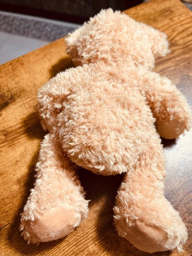 Steiff Teddy Bear Stuffed Toy 9.8in Germany Used Collectible - Picture 6 of 10