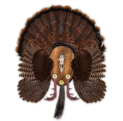 Ultimate Turkey Plaque by Illusion | Turkey Mounting Kit | Rustic Wall Mount Dis