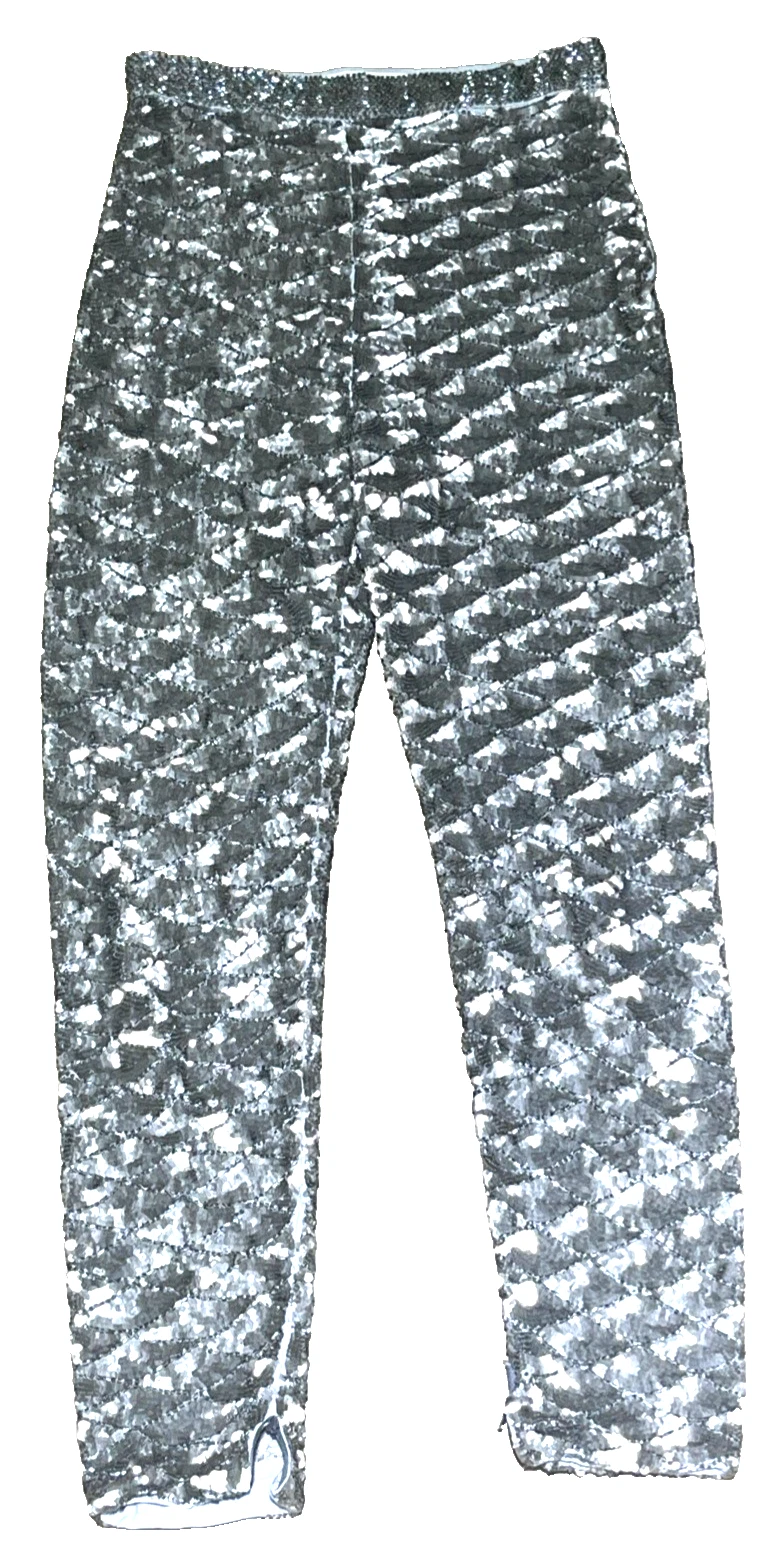 Ferragamo — Salvatore Ferragamo Runway Silver Sequin Embroidered Dress Pants US 4 6 / IT 42
