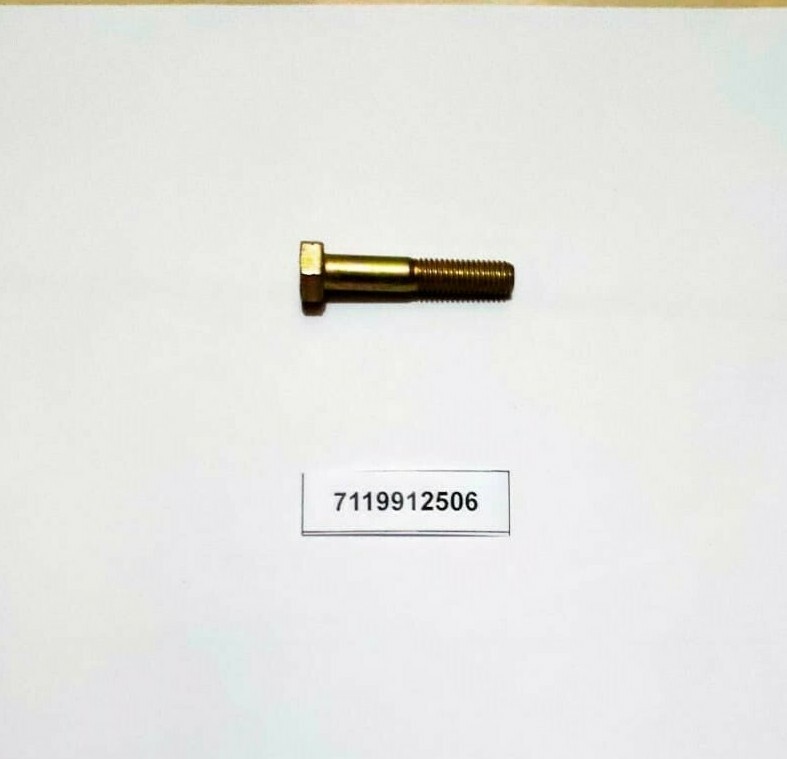 New Genuine BMW 07119912506 Hex bolt | eBay