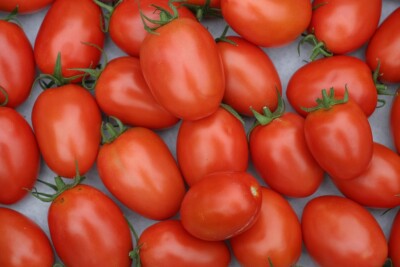 100 Gramm Saatgut - ca. 37.000 Samen Tomate Sorte '' Roma '' - BULK Großpack