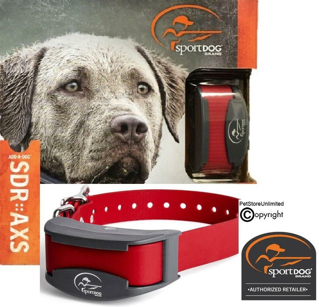 sport dog add a collar