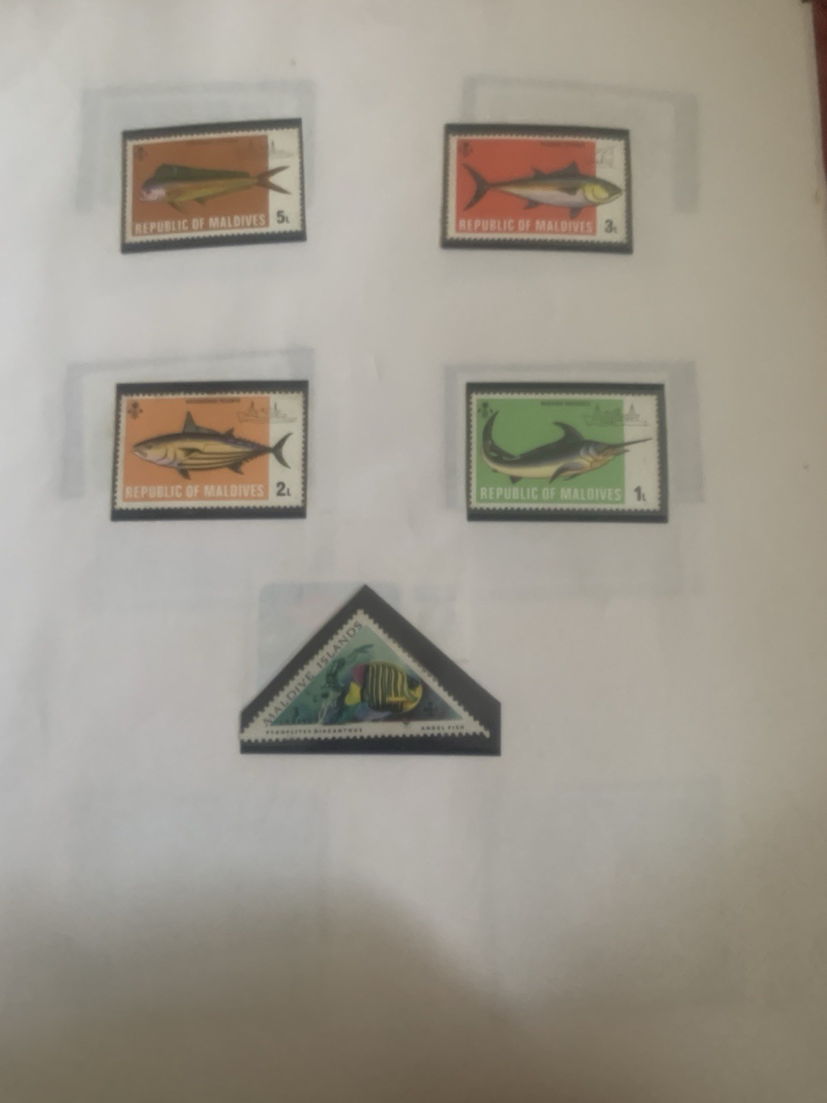 Picture 7 of 24