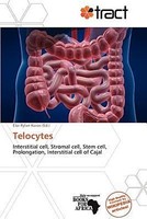 Telocytes Eloi Rylan Koios