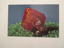 Postcard Wulfenite Crystal #69 Red Cloud Mine Yuma Arizona Mineral Rock #17