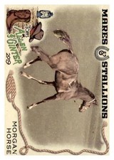 2019 Topps Allen and Ginter Mares and Stallions #MS5 Morgan Horse - NM-MT