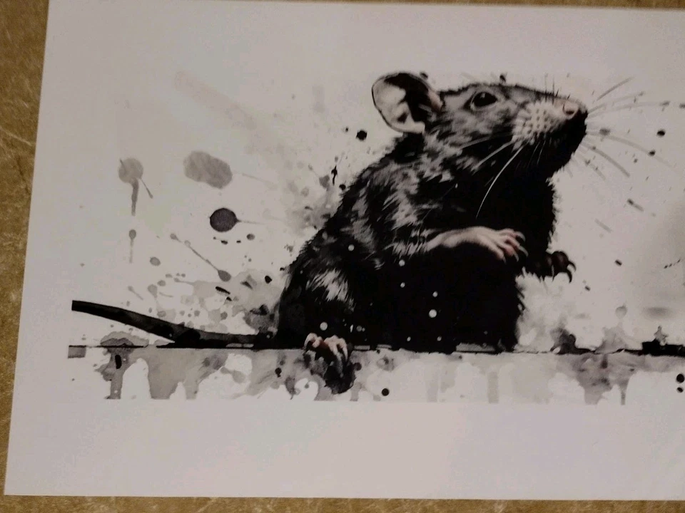 Chris Boyle + Death NYC edición limitada firmado Angry Banksy Rats arte callejero impresiones giclee Foto 3 de 4