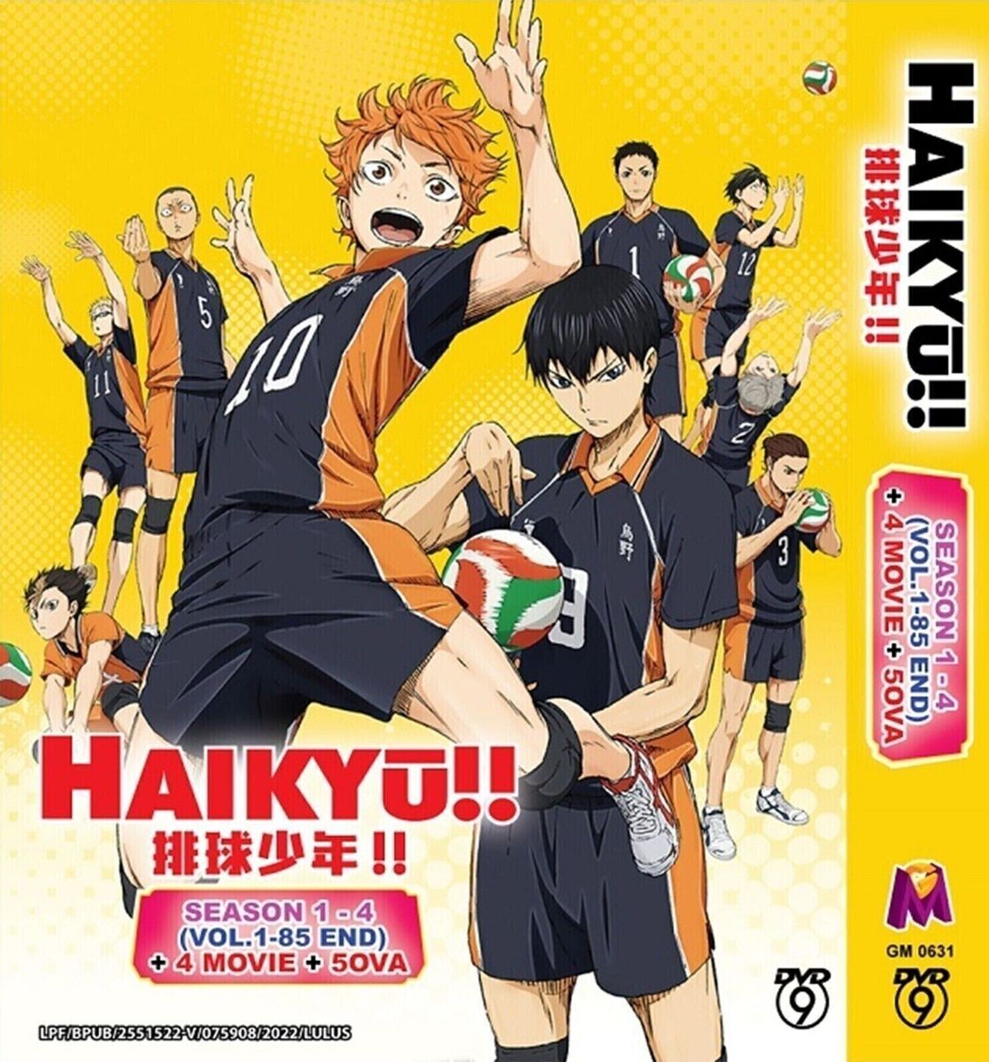 HAIKYU !! SEASON 4 : TO THE TOP ( HAIKYŪ ) - ANIME TV DVD (1-25 EPS) (ENG  DUB)