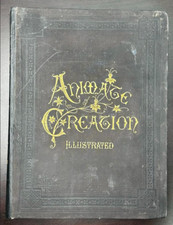 Animate Creation; Popular Edition of Our Livi...