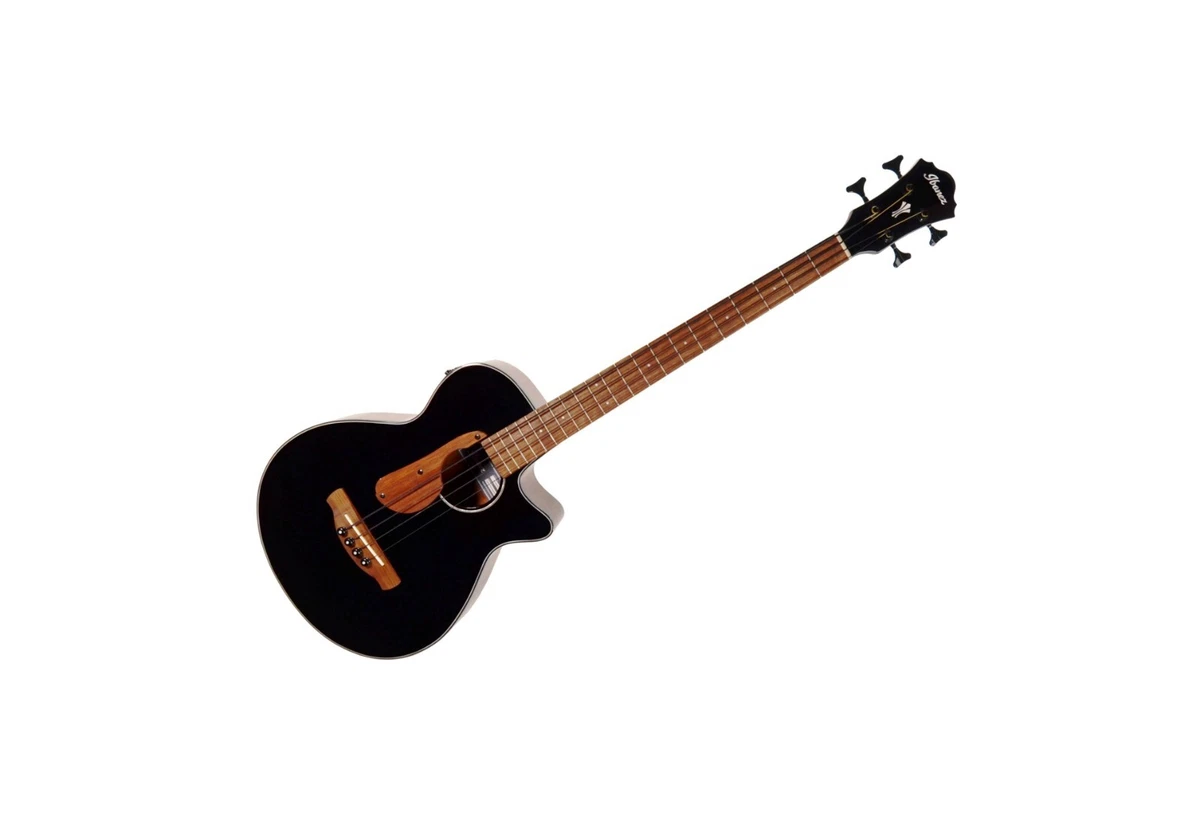 Ibanez AEGB24E Acoustic Electric Bass Guitar eBay