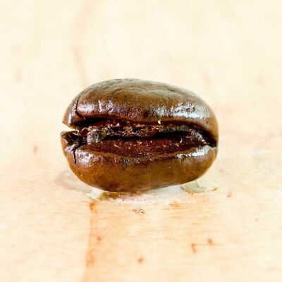 BRAZILIAN YELLOW BOURBON PEABERRY COFFEE BEANS MEDIUM ROAST BULK 5LB