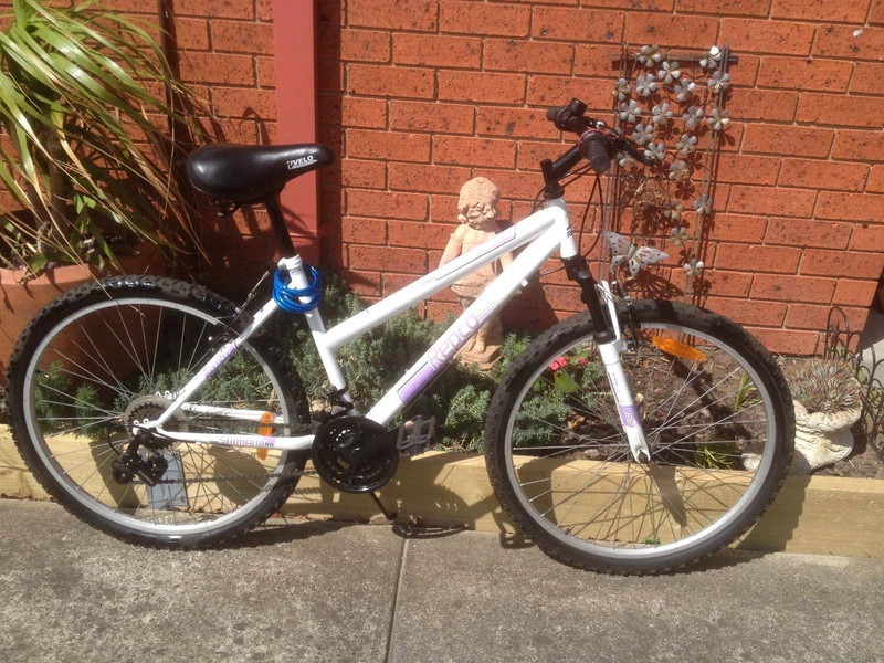 gumtree womens mountain bike