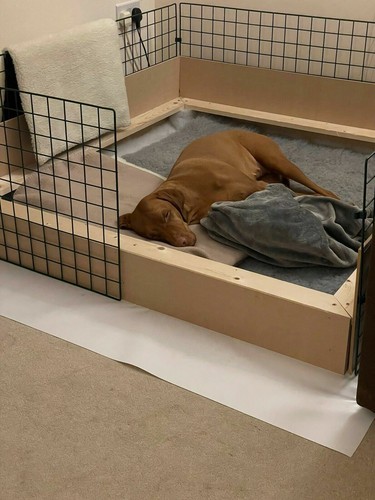 Dog Puppy Whelping Box 1.2m x 1.2m(4ft x 4ft) With Timber Insert & Pig Rails Pen - Picture 4 of 9