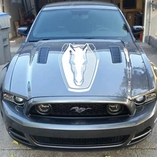 Dark Horse Vinyl Decal Kit New 4PC LIMITED OEM Nite Pony Package Fits Mustang