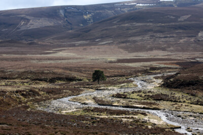 Photo 6x4 Confluence of burns below Geal Charn Tom na Fianaig Allt na h-E c2009