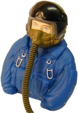 Listing image for Model Plane Pilot - Larry