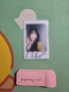 QWER Chodan Rocknation USA Tour Polaroid