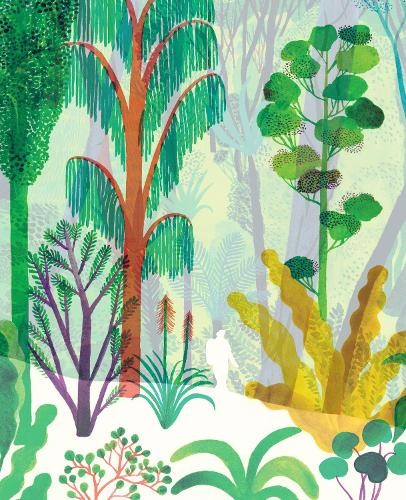 The Forest by Riccardo Bozzi, Violeta Lopiz, Valerio Vidali - 9781592702183