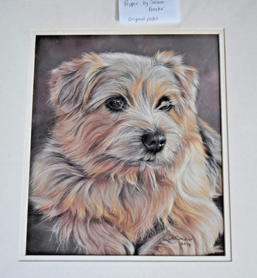 SUSAN ANNE BAXTER ORIGINAL PASTELLGEMÄLDE YORKSHIRE TERRIER PFEFFER