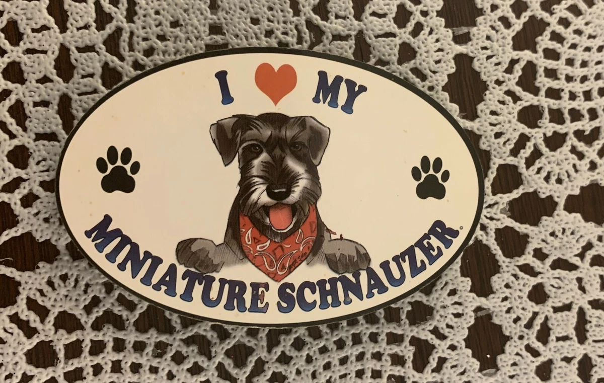 Schnauzer items top