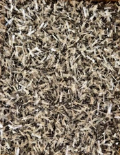 LOT 100pc Assorted Misc TO-92 Case Style Transistors Electronic Components Parts