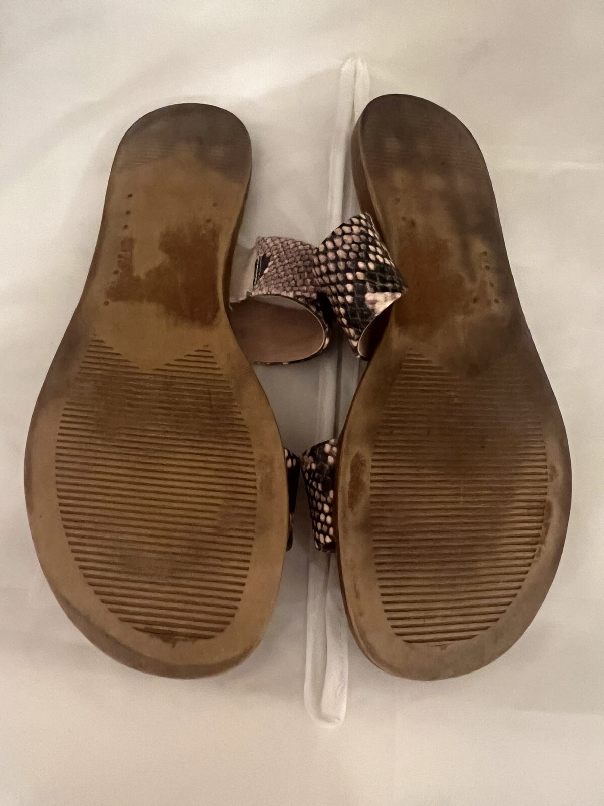 Steve Madden Flat 2 Strap Sandal Python- Sz 8 - image 4
