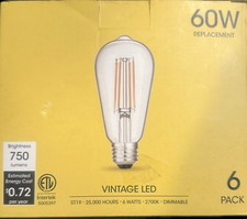 Bulbs, 60W Equivalent ST19, Efficient 6W LED, E26 Medium Base Light Bulbs LED