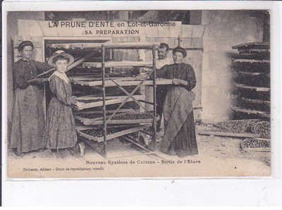 LOT and GARONNE: the plum, its preparation, new cooking system,