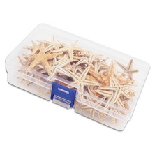 Natural Starfish for DIY Crafts and Home Decoration Multiple Quantity Options