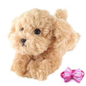 fluffy toy poodle