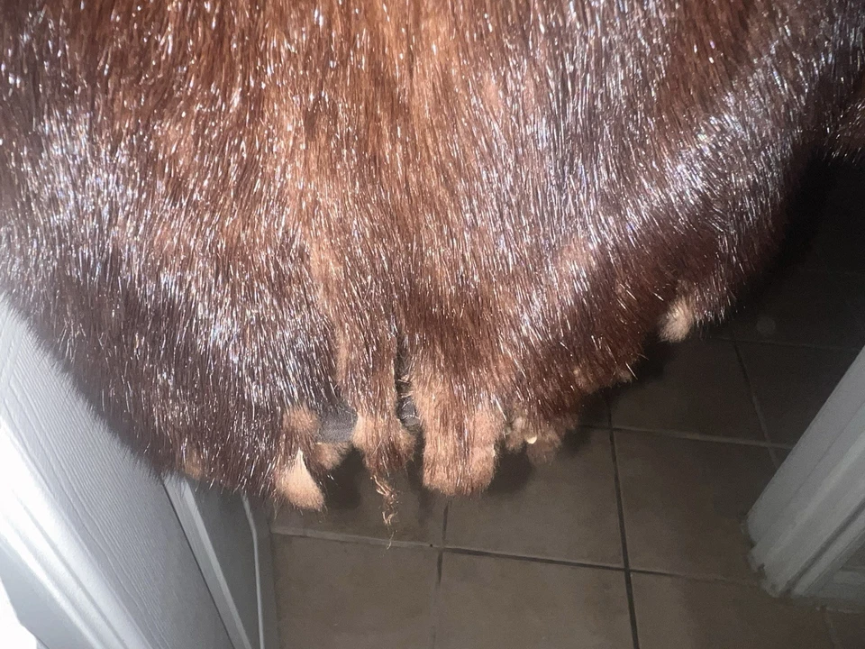 Vintage Women's MINK  Fur Coat Brown Medium Length Black Diamond - Image 4 of 4