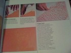Bild 6 von 8