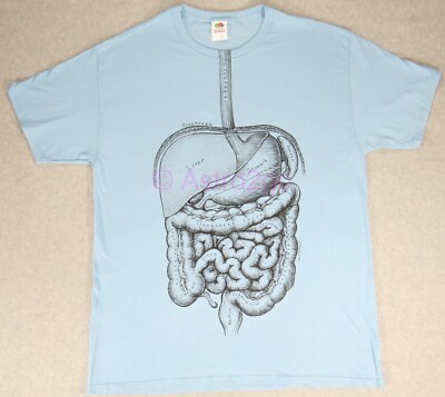 DIGESTIVE SYSTEM-Leslie Arwin Human Anatomy Guts Biology Science T