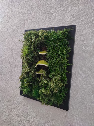 Handmade Preserved Moss with Green Polypore Mushrooms Wall Art in Black Frame - Picture 13 of 15