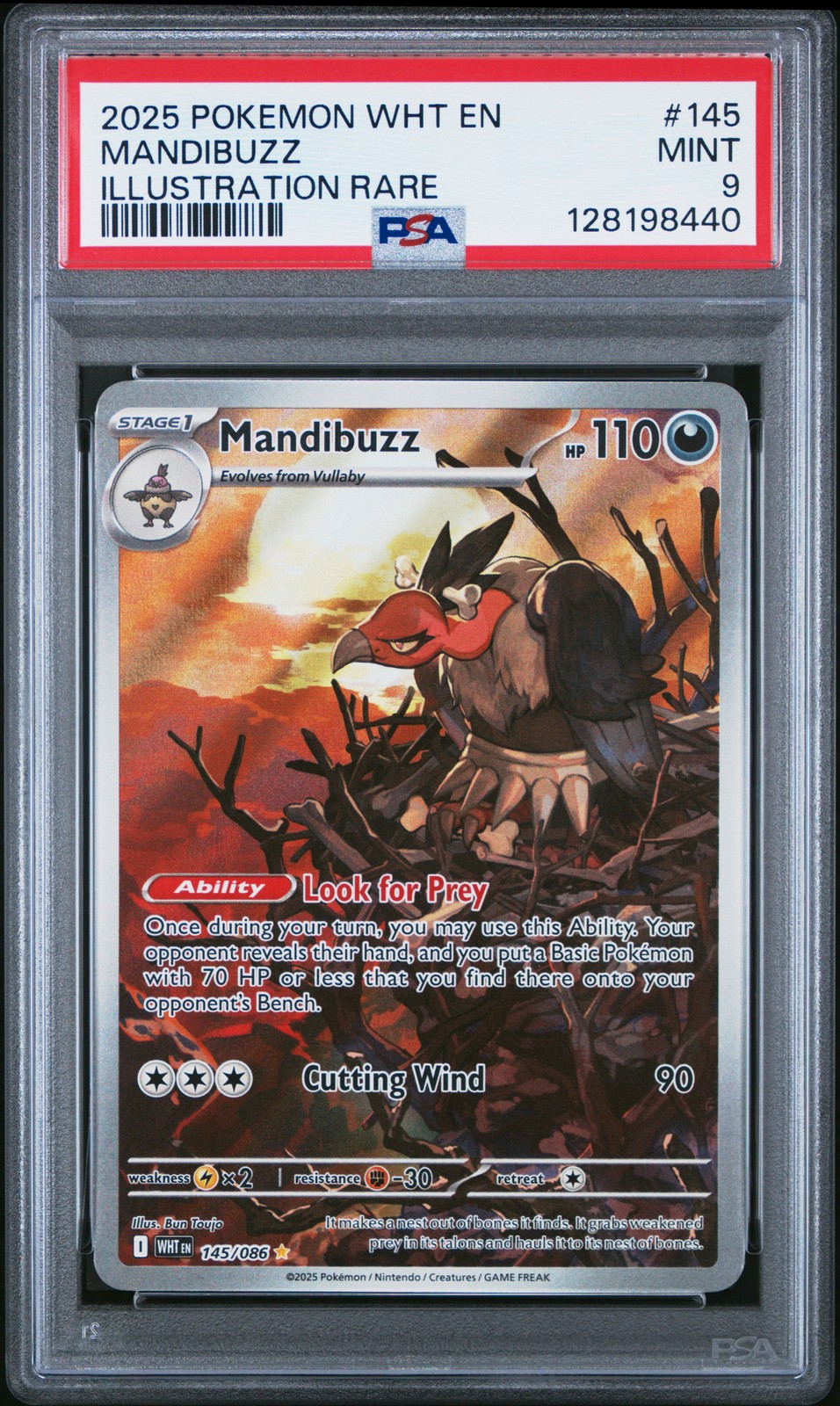Mandibuzz #145