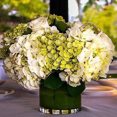 4 Stück Halbball Floral Trockenschaum, Grün Blumen Rundschaum, Block Trockenschaum Bälle - Bild 6 von 8