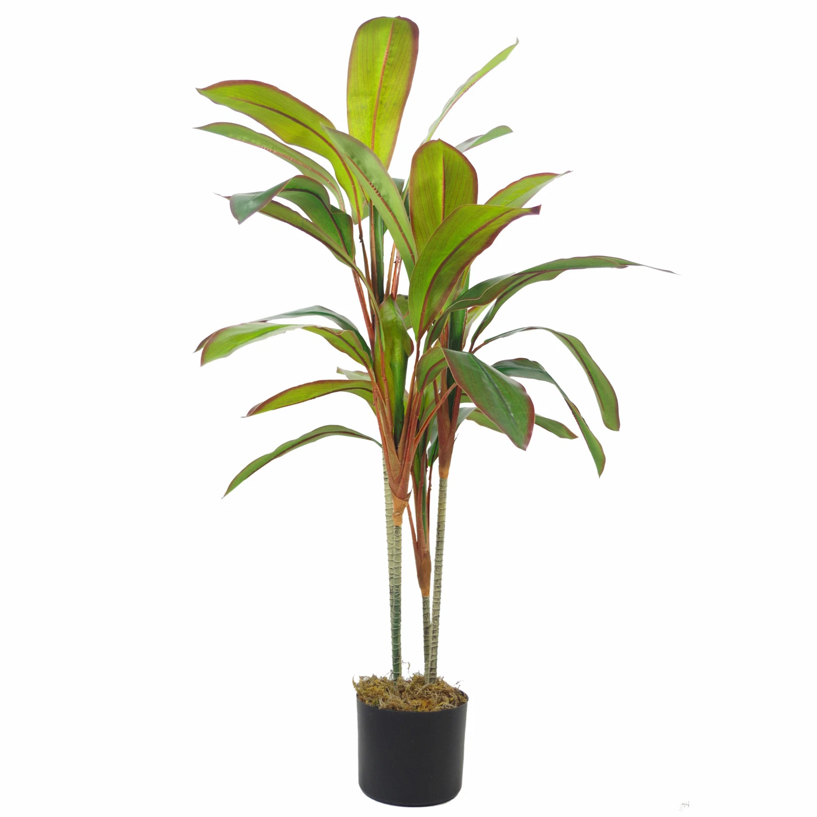 100cm Dracaena - 7298