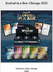 Mtg Festival in a Box | eBay