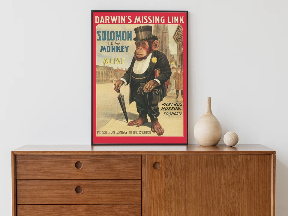 Solomon the Man Monkey, Vintage Poster, Darwin, Evolution, Wall Art Print - Image 2 of 4